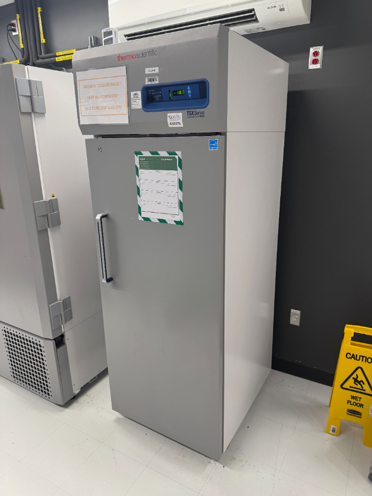 Image of Thermo TSX Series -20C Freezer